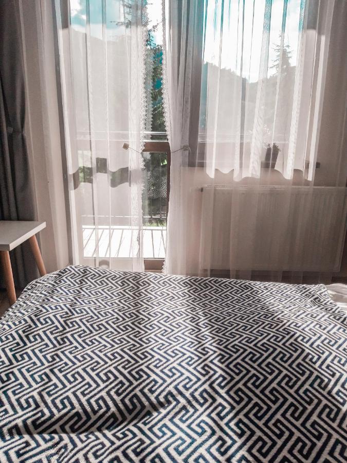 Hotel Majerzanka Piwniczna-Zdroj Eksteriør billede